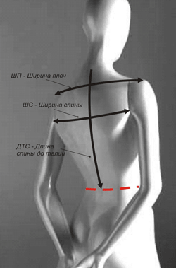 Мерки: длина спины, ширины спины